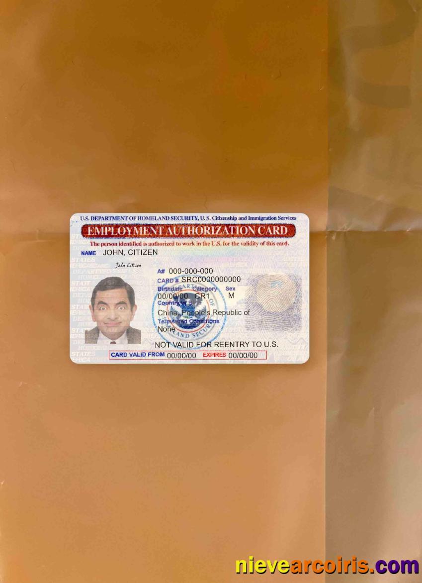 United States employment authorization card photolook